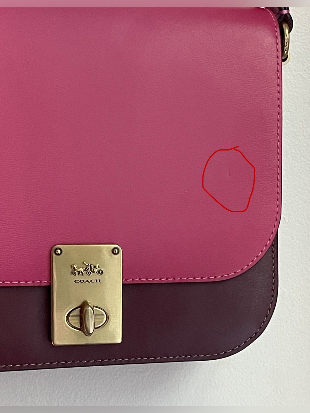 Coach Colorblock Leather Hutton Saddle Crossbody Bag with Gold Hardware - Picture 4 of 16